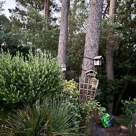 Villa Villa 4 Chambres Avec Piscine Chauffee Vue Golf Entre Ocean & Lac Plage A 5 Min *