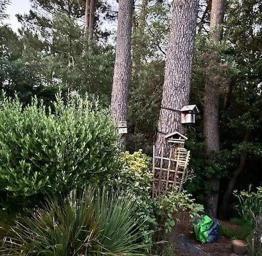 Villa Villa Luxe Piscine Chauffee, 4 Chambres, Surplombant Le Golf Entre Ocean & Lac Plage A 5 Min *