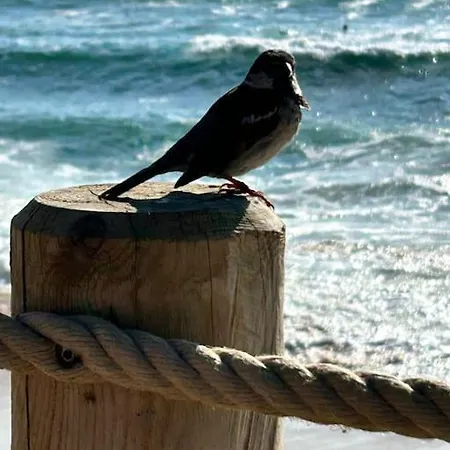 Premium Piscine Chauffee Sur Golf Et 8 Minutes De L'ocean