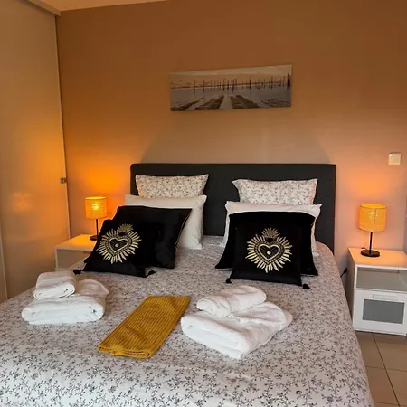 Luxe Piscine Chauffee, 4 Chambres, Surplombant Le Golf Entre Ocean & A 5 Min Lacanau